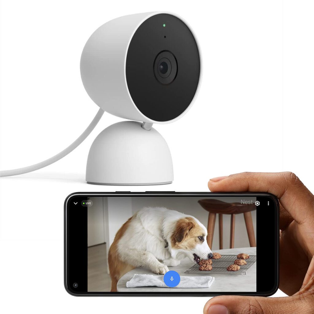 Google Pet Camera