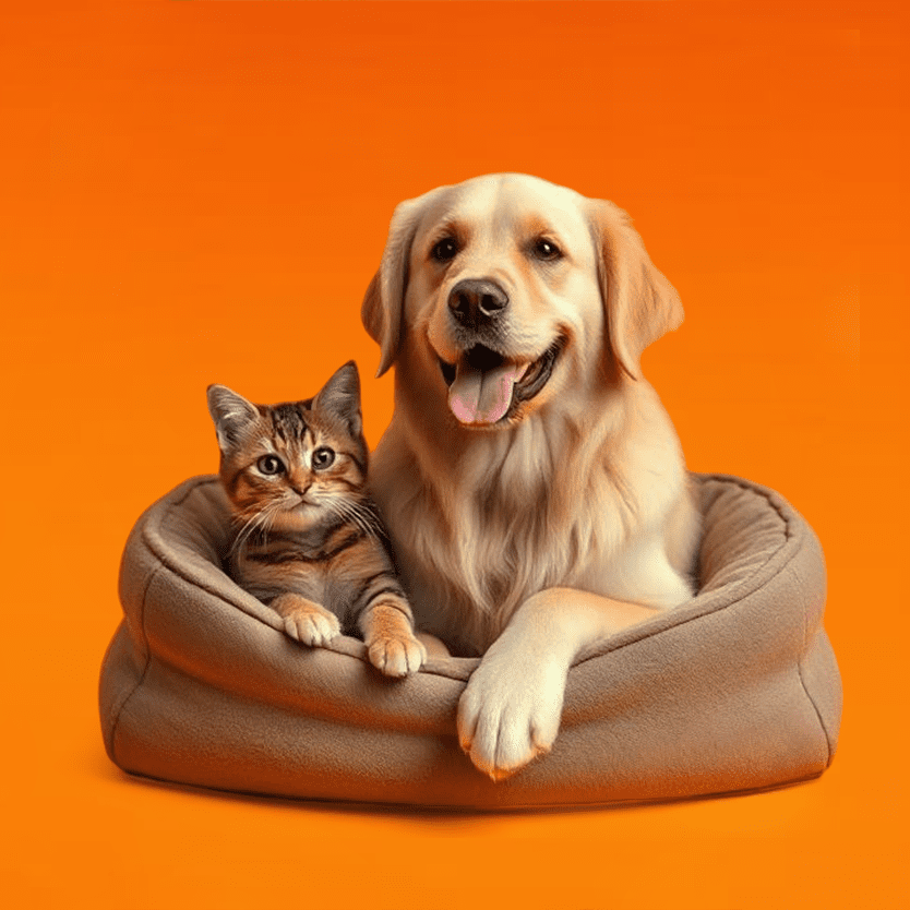 Premium Pet Products for Pet Comfort