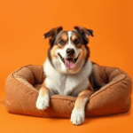 BEST PREMIUM DOG BEDS