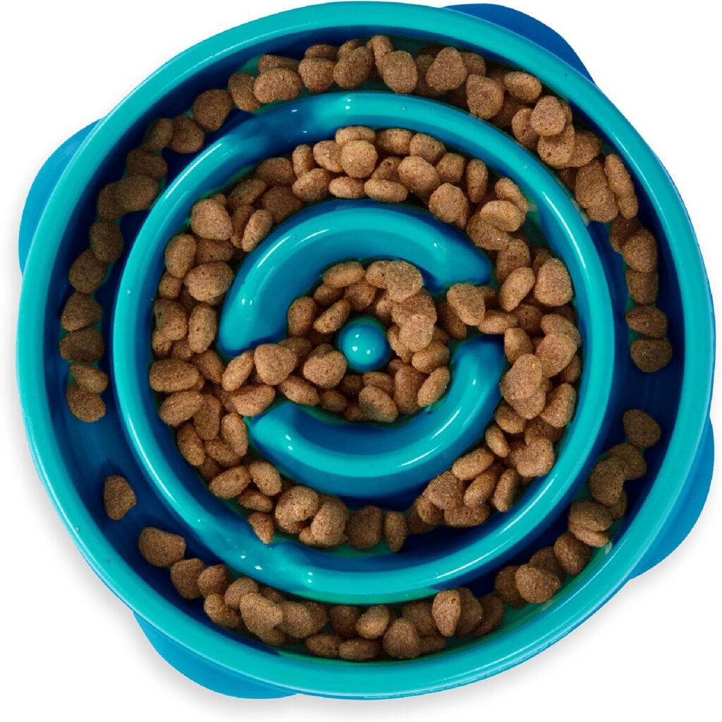 outward slow eating dog bowl