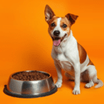 Slow eating dog bowl